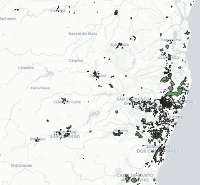 Malha dos Núcleos Urbanos Informais - Recife (PE)