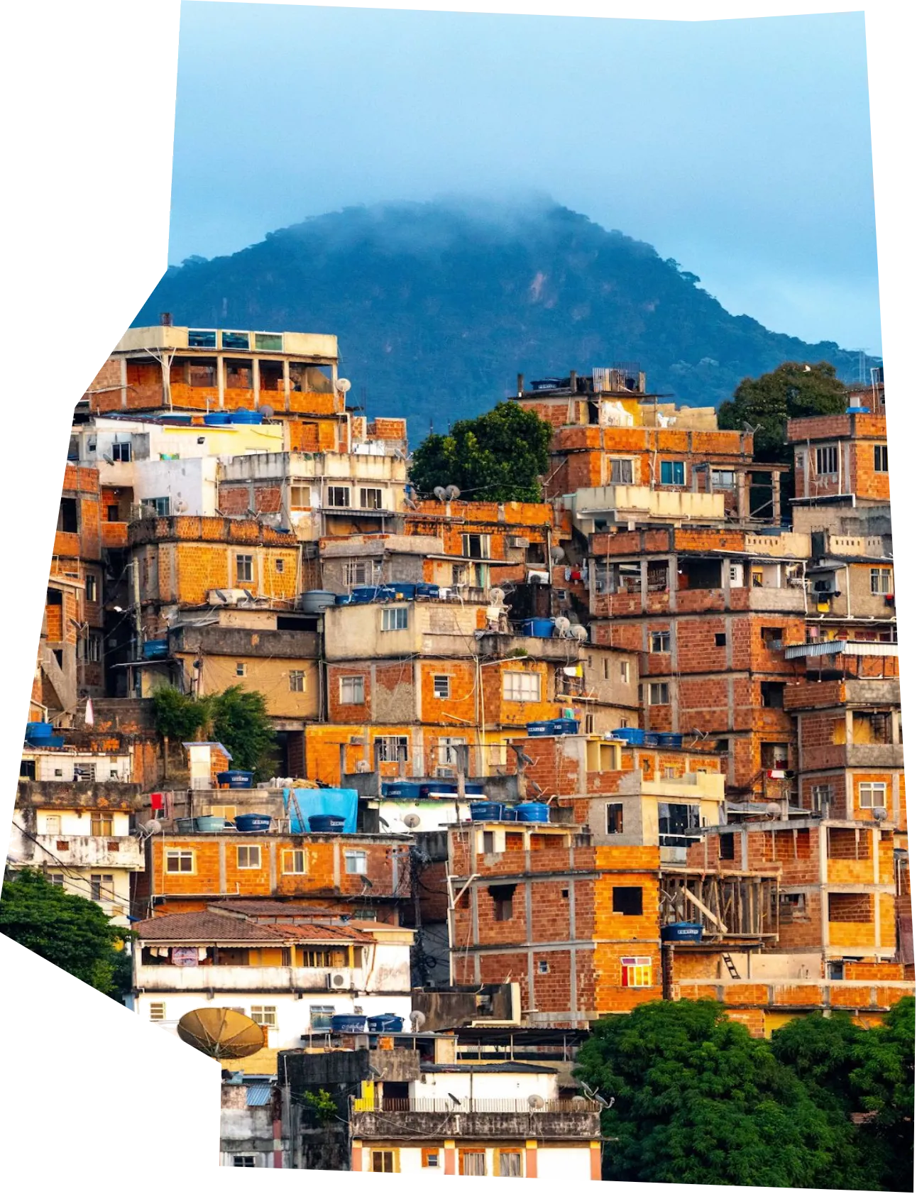 MetaFavela