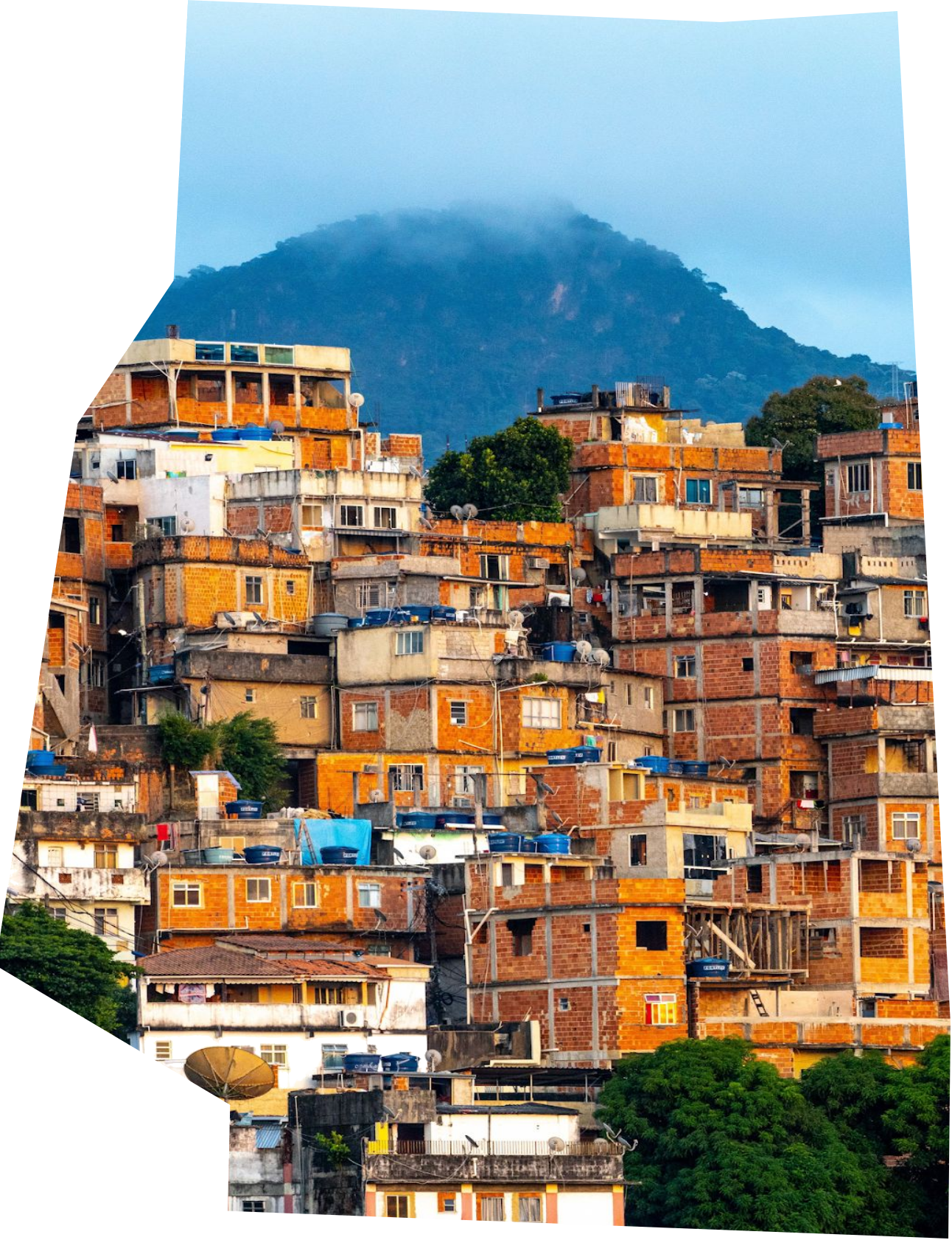 MetaFavela
